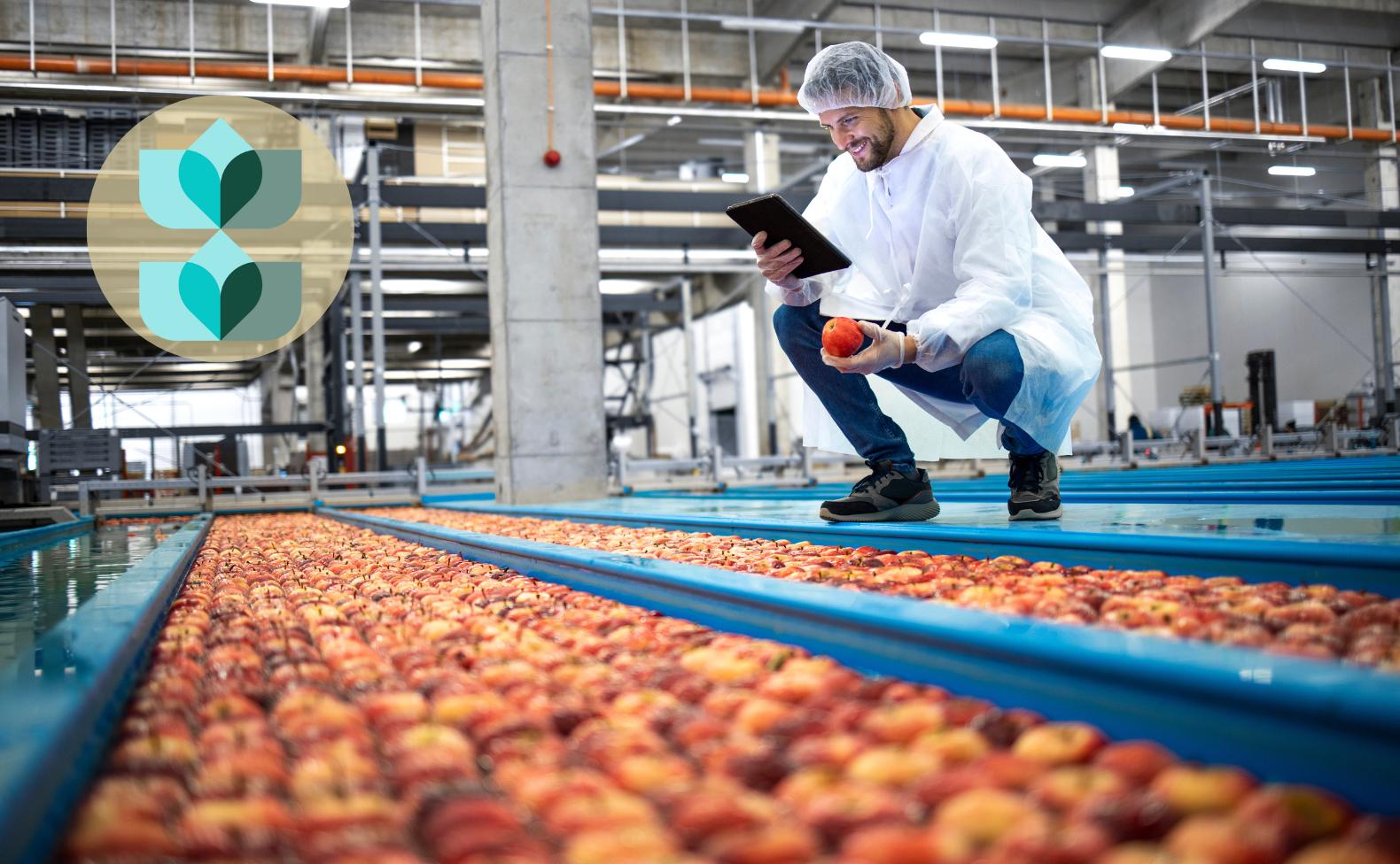 Implementing An ERP For Your Food Business? Here's What You Should Know ...
