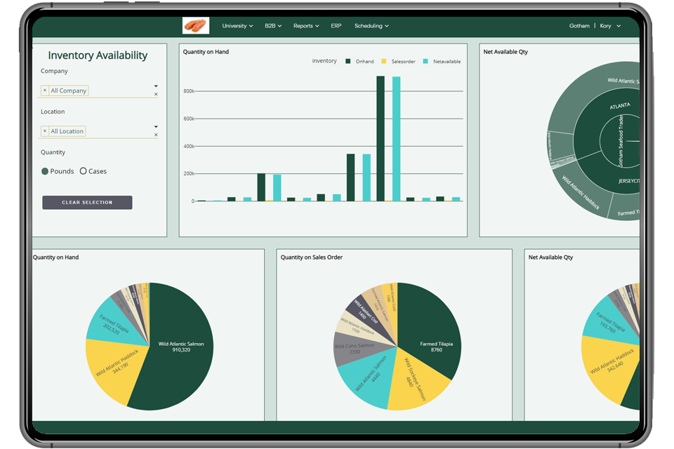 tablet-image-BI-inventory